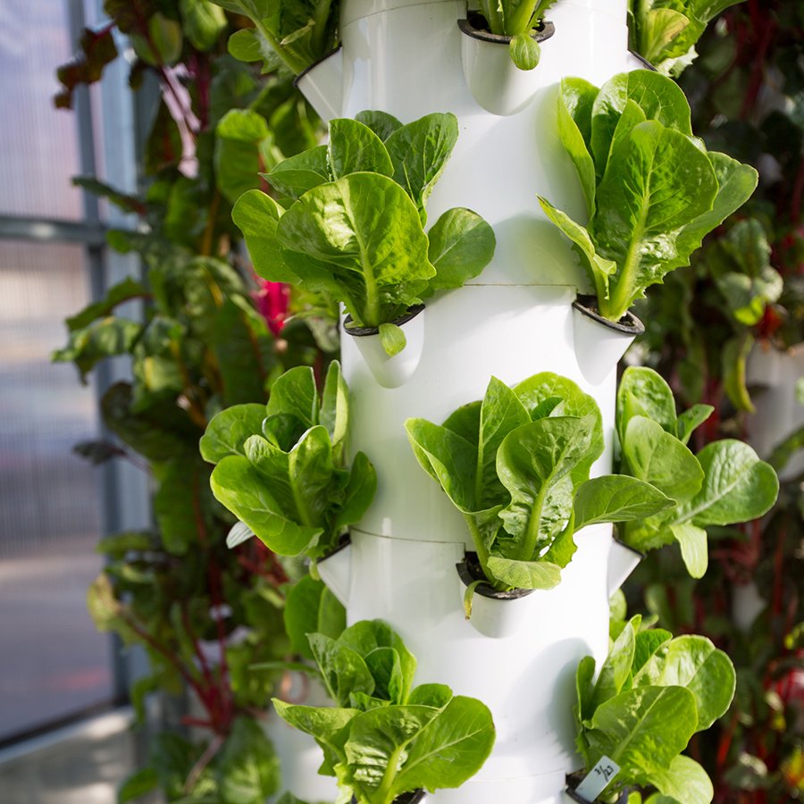 Juice Plus+ on Twitter "Fill your garden or Tower Garden with