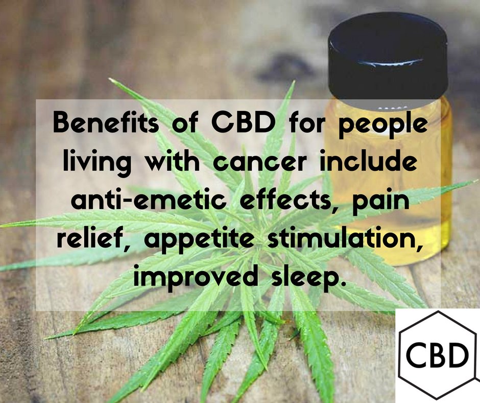 cbdtruthtv's tweet photo. CBDTruth: CBD helps fight cancer.
#CBDTruth
#CBDheals
#CBDoil
#CBD
#Cancer
#FightCancer https://t.co/Bikjf89DUJ