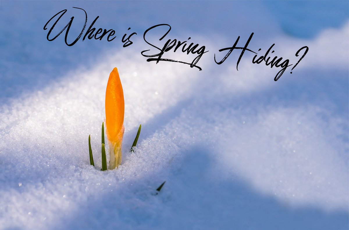 Anyone else searching for Spring?