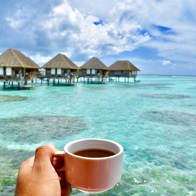 ThetaRidgeSB's tweet photo. In Indiana we are dreaming of warmth & sun. Who is with us?π·: @kaffe_kul #thetaridgecoffee #coffee #coffeeroasters #roasting #coffeeroaster #coffeeroasters #coffeeroast #coffeelovers #specialtycoffee #coffeeroastery #coffeehouse #fuelyourcoffee #coffeefestbaltimore https://t.co/t5aE2N5NjF