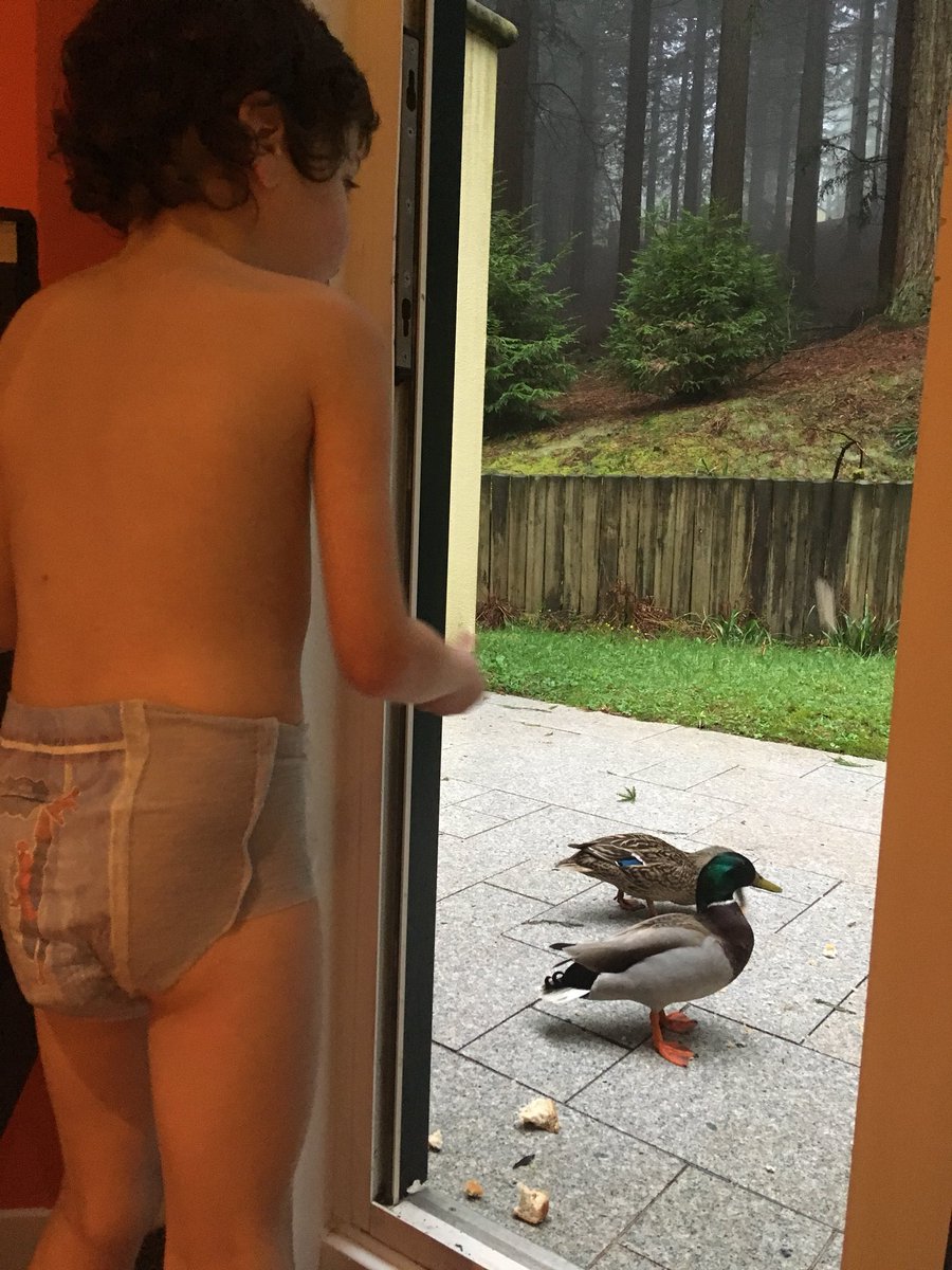 This evenings vistors 😍