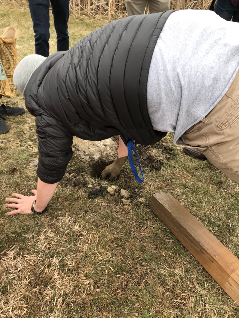 EcologyOe's tweet image. Successful meeting! Put in a new birdhouse on campus #birdingfun 🐦🏠🌳