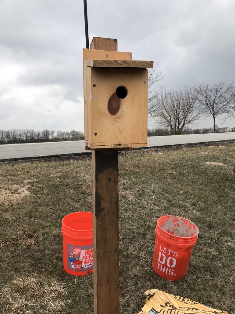 EcologyOe's tweet image. Successful meeting! Put in a new birdhouse on campus #birdingfun 🐦🏠🌳