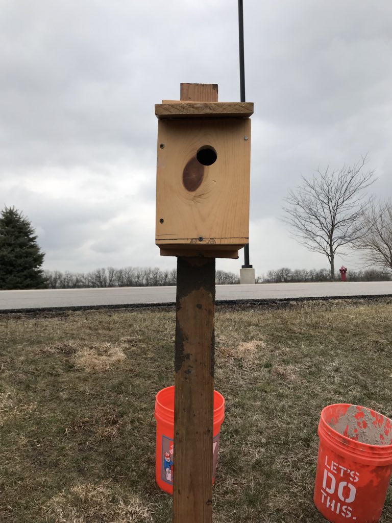 EcologyOe's tweet image. Successful meeting! Put in a new birdhouse on campus #birdingfun 🐦🏠🌳