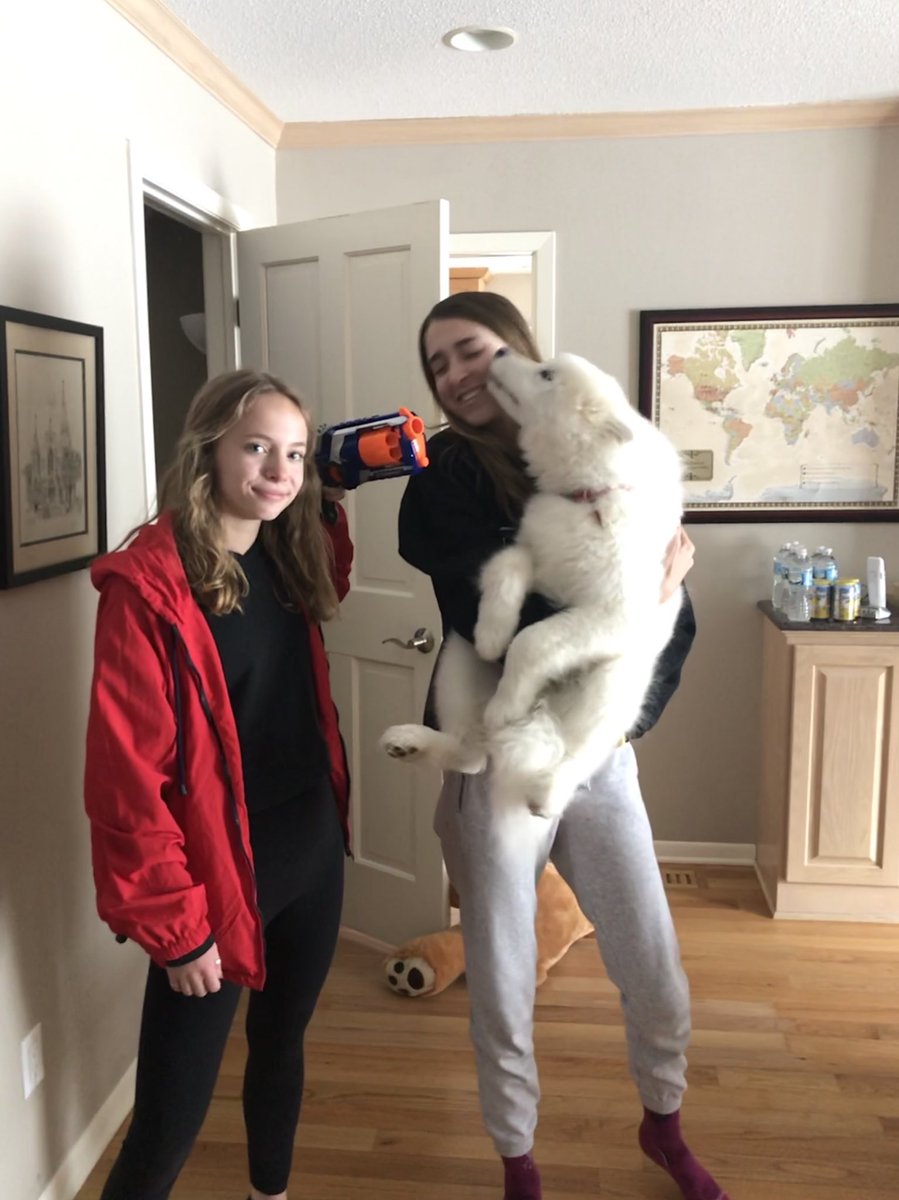 Projectile Dysfunctions tweet media