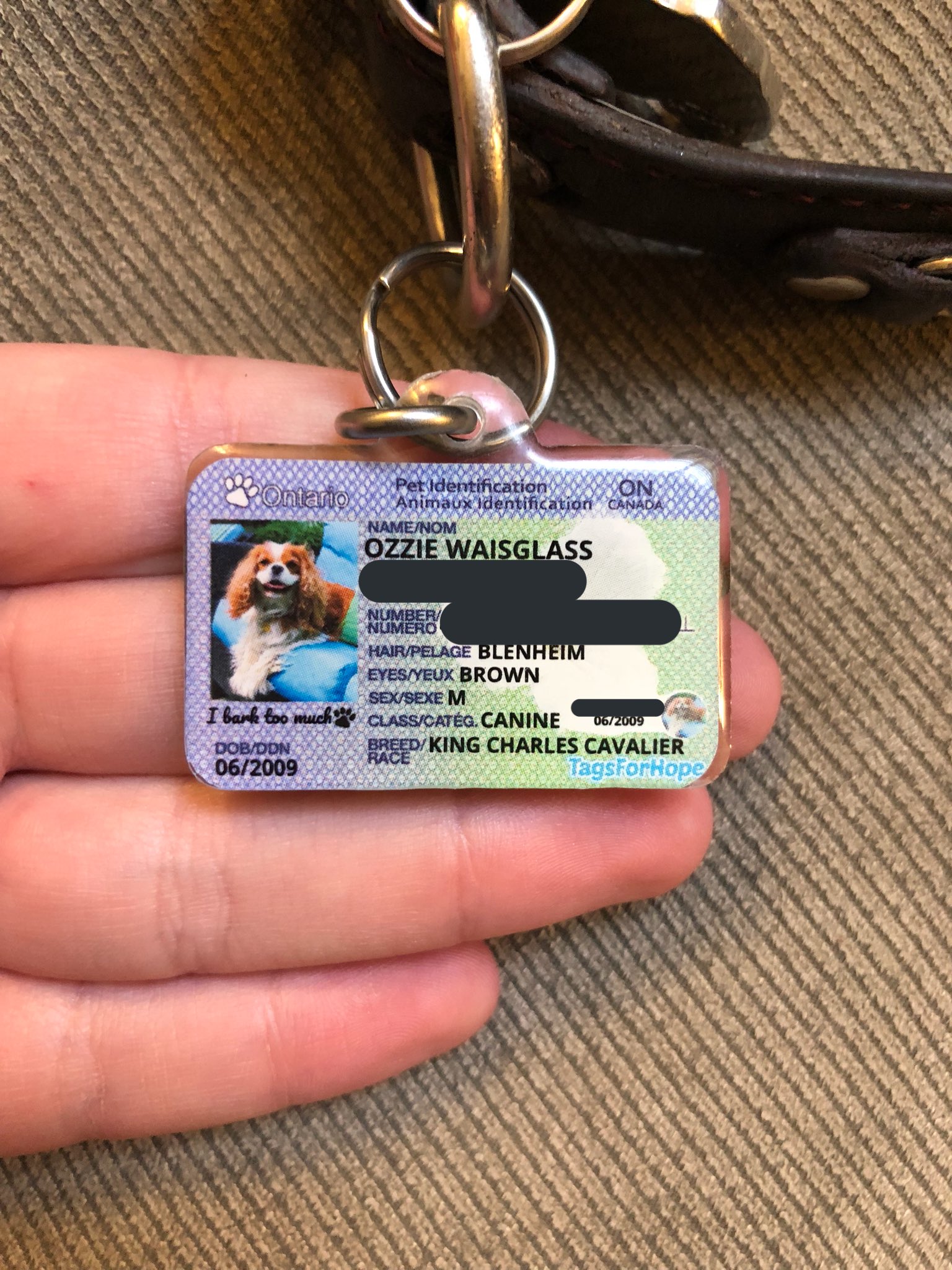 Dog tags for clearance hope