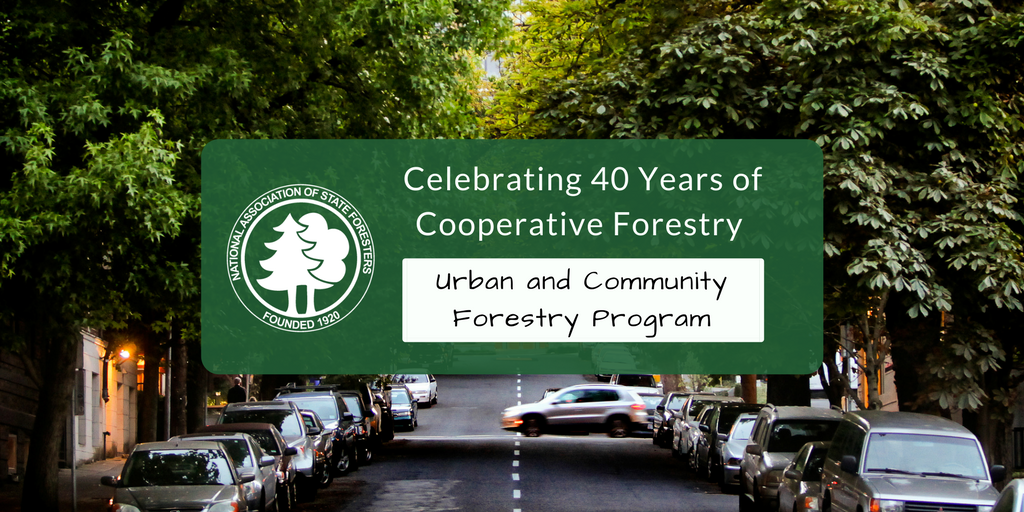 Urban forests are often misunderstood. #DYK that all the trees in your community collectively are considered urban forests? Learn more: bit.ly/2EAXSas #healthytreeshealthylives