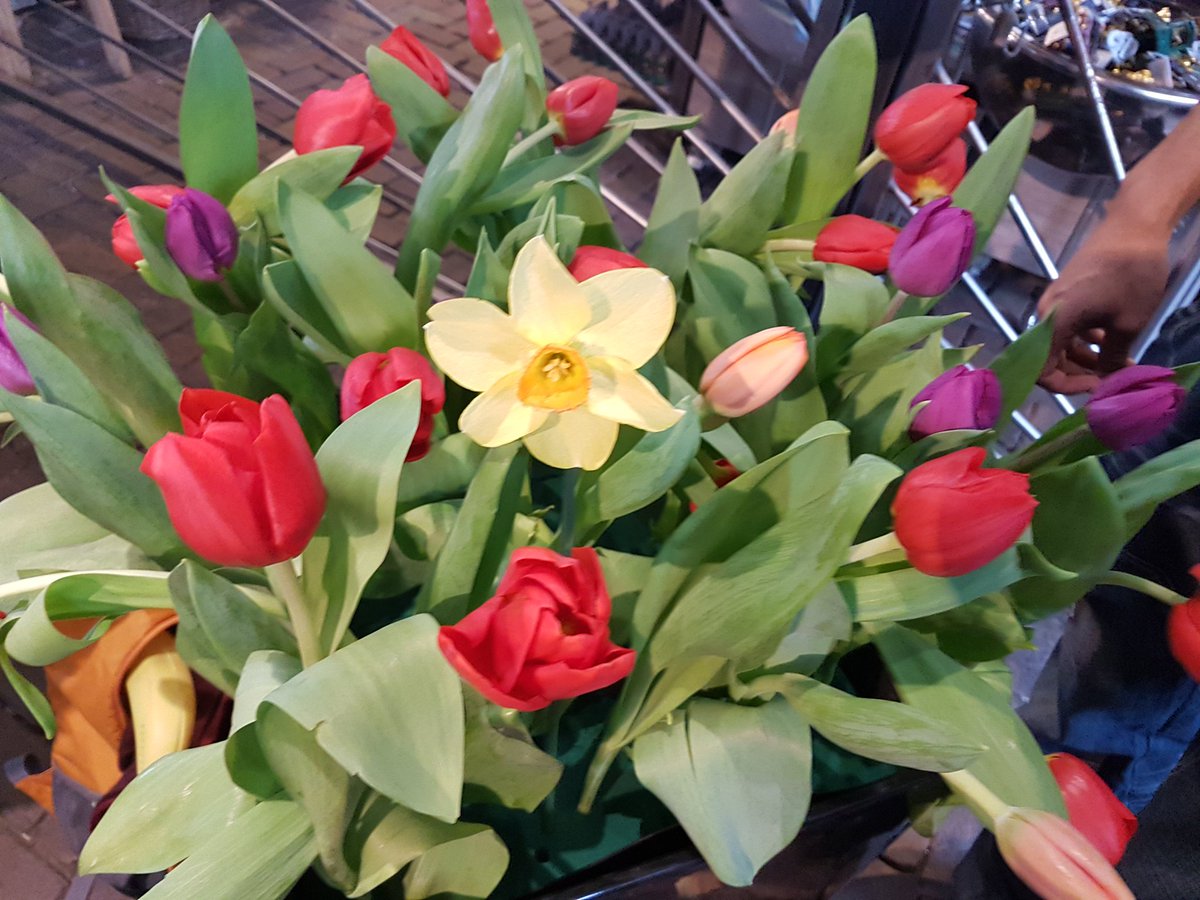 De <a href="/lsz_nl/">St. Zelfbeschadiging</a> heeft geen prijs gewonnen, wel veel mooie tulpen en veel belangstelling. Veel dank @PGOsupport voor de nominatie #impactcongres