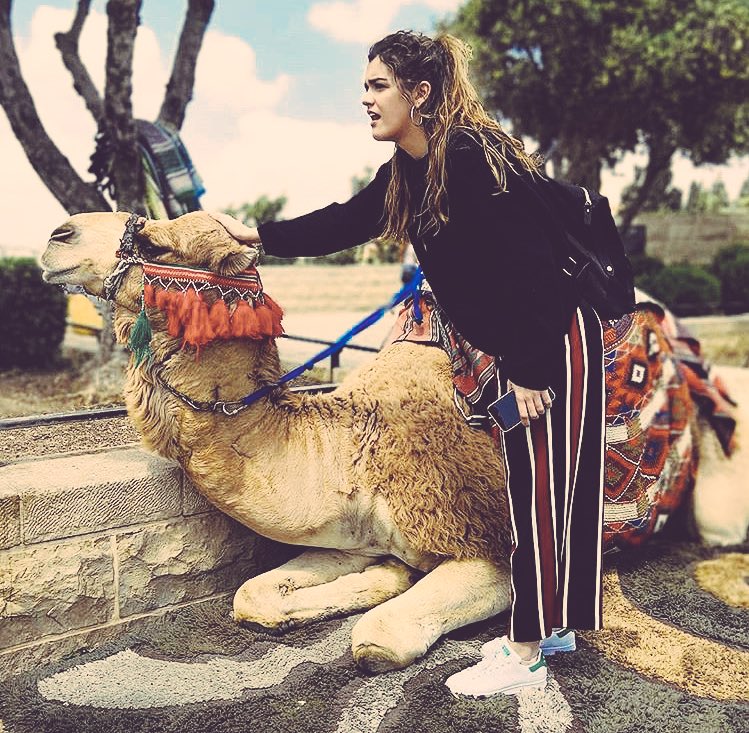 Gringxs's tweet photo. @ Amaia tienes contenido para subir a tu instagram. Aquí algunas ideas https://t.co/JBeifPq78z