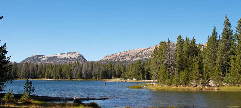 AmericanForests's tweet photo. Climate change and its effects on Rocky Mountain alpine lakes https://t.co/2xyMxgg1n6 https://t.co/aDOpFe9suw