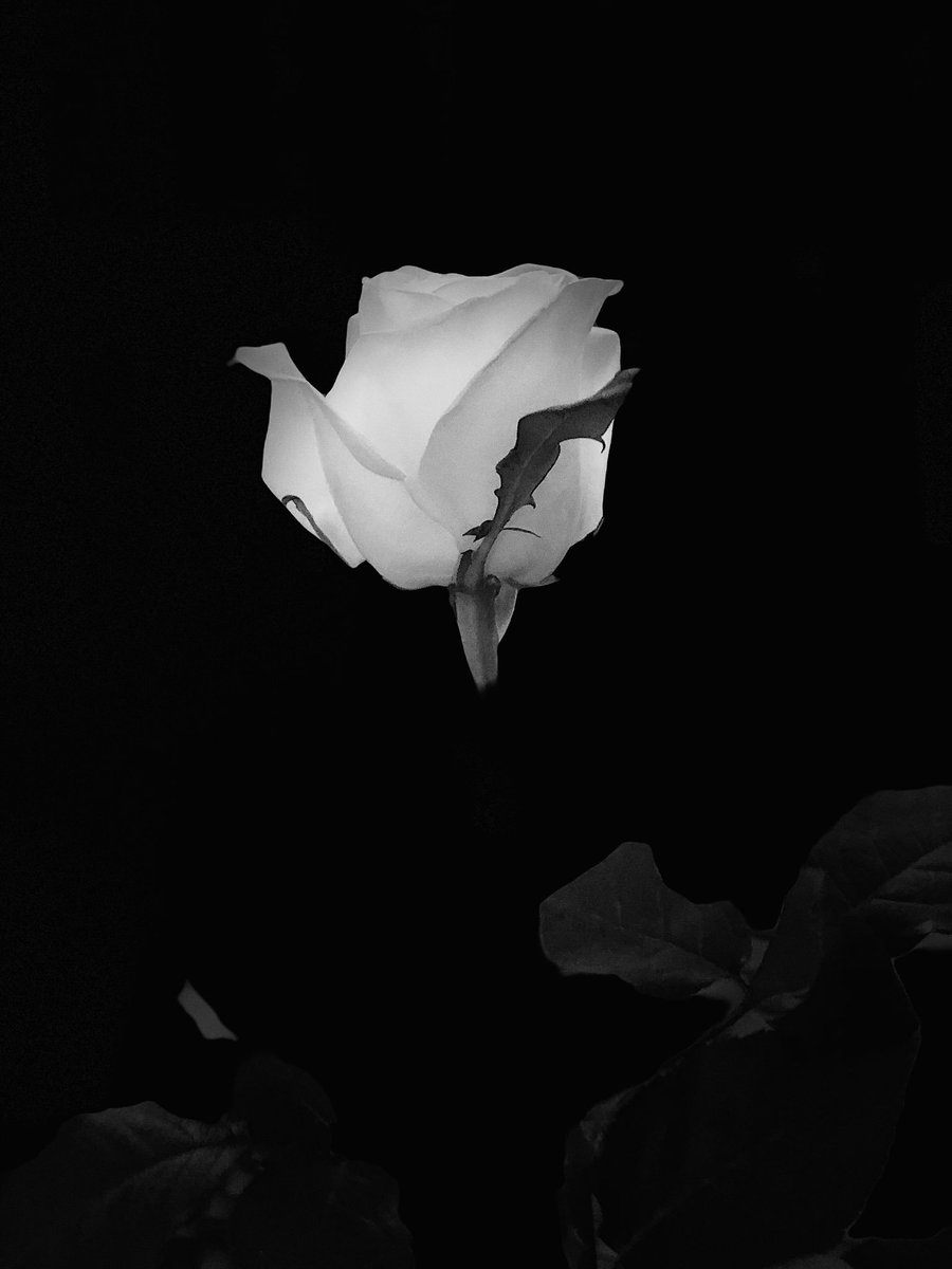 Rafał Kępski 📸🍀👨🏼‍💻 tweet media