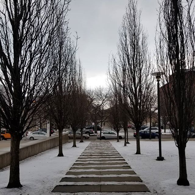 LittleTechGirl's tweet photo. I sure hope this is a pathway to Spring!
#uchicago #chicagospring #springnotwinter
#chilly #cold #frost #frosty #ice #igers #instagood #instasnow #instawinter #natures #photooftheday #picoftheday #skies #sky #snow #snowfall #snowflakes #snowing #weathe⦠https://t.co/92yuWT5z0E https://t.co/AOkmcwxW24