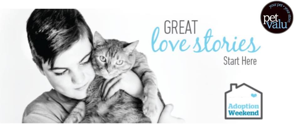 kwsphumane's tweet photo. We've got a busy weekend ahead of us... It's a Pet Valu Adoption Event from April 13 - 15 at the Elmira and Ira Needles locations!  With animals from the KWHS, you'll want to drop in and at least say "hi" to the pets.  Who knows?  You just might fall in love!
#adoptme #adoptlove https://t.co/qmChUrfg5t