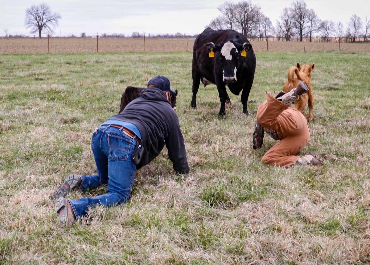 Katey Foster tweet media
