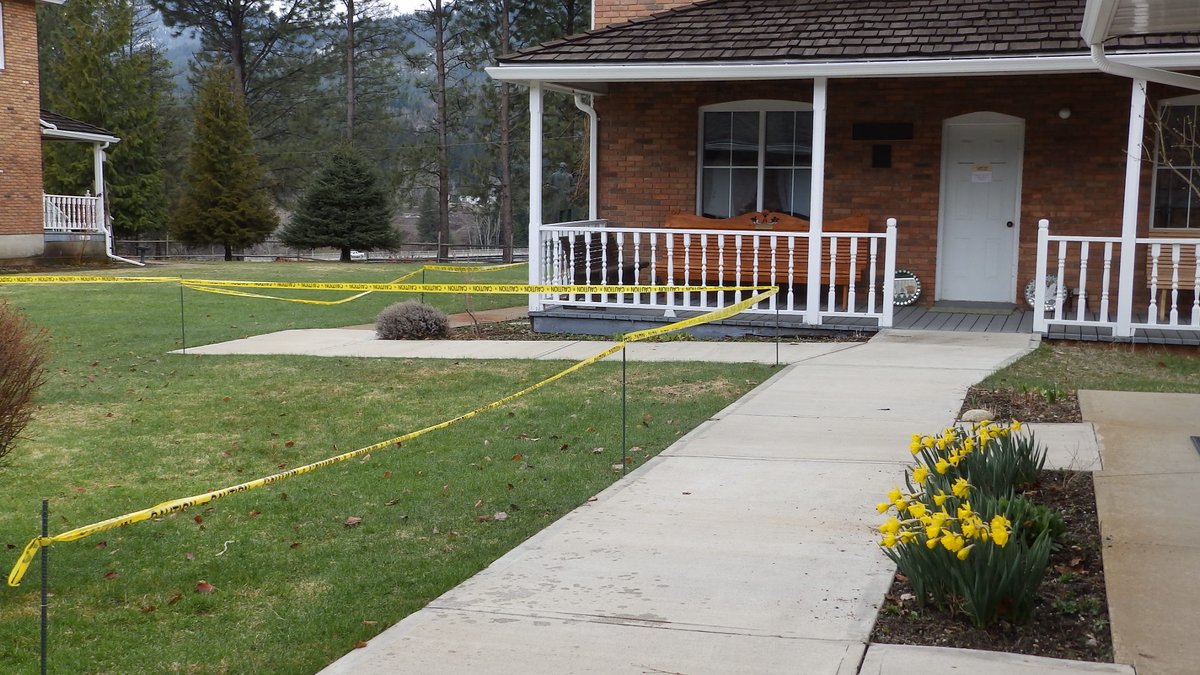 DdcMuseum's tweet photo. This crime scene is the result of deer/elk "stealing" the tulips. 🦌🌹#DestinationBC #DestinationCastlegar #DdcMuseum https://t.co/xqAqso8lGE