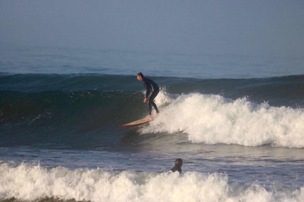 polysurfteam's tweet photo. Monday’s are alright with us https://t.co/Fxz41qsDZV
