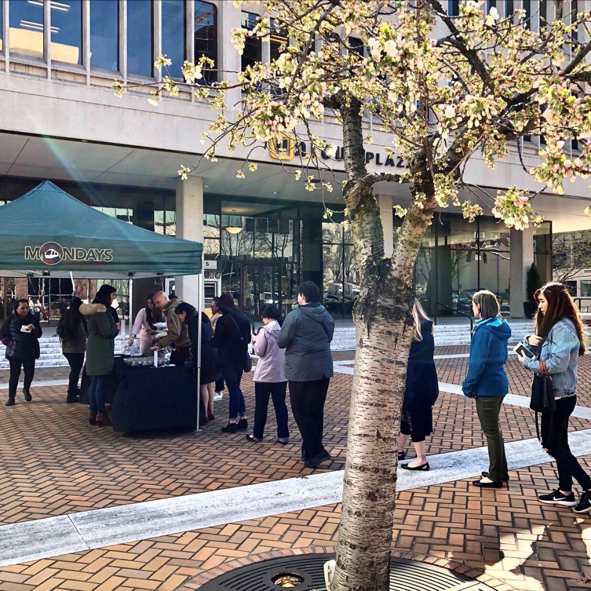 thesquarepdx's tweet photo. NEXT MONDAY April 16th is the next Mondays on the Mall!

Join us and @PMMIpdx for Bean Counter Day, where we will sip on Water @wateravecoffee samples, enter to win a basket full of bean-themed goodies, and lots more bean fun! 

SW 6th and Oak, 12pm - 1pm (while supplies last!) https://t.co/r9RqIvRgve