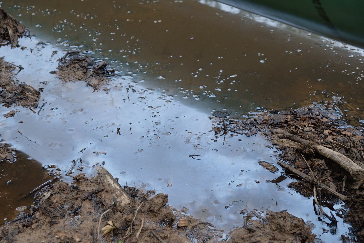 NoBayouBridge's tweet photo. Water protectors find an oily sheen and discharge at a John Bel pipeline , aka bayou bridge, construction site.  @LouisianaGov  @LOUISIANA_DEQ @USACE_FortWorth https://t.co/uvYNM24TY1