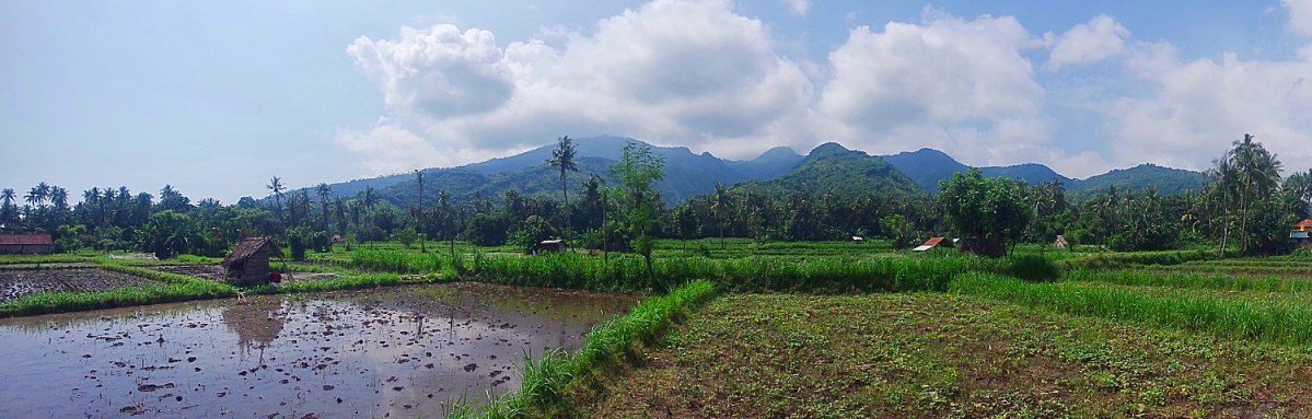 blogplotter's tweet image. Okay, we've been to Bali three times already, and there are STILL more amazing things to do! Check out Amed, and see for yourself! bit.ly/2I8gqkd #amed #bali #alwaysadventuring