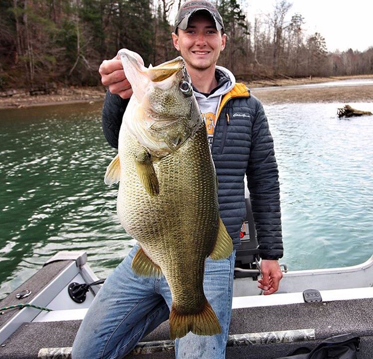 outdoorior's tweet photo. Giant 11lb Bass! https://t.co/UmRh9UO3vu