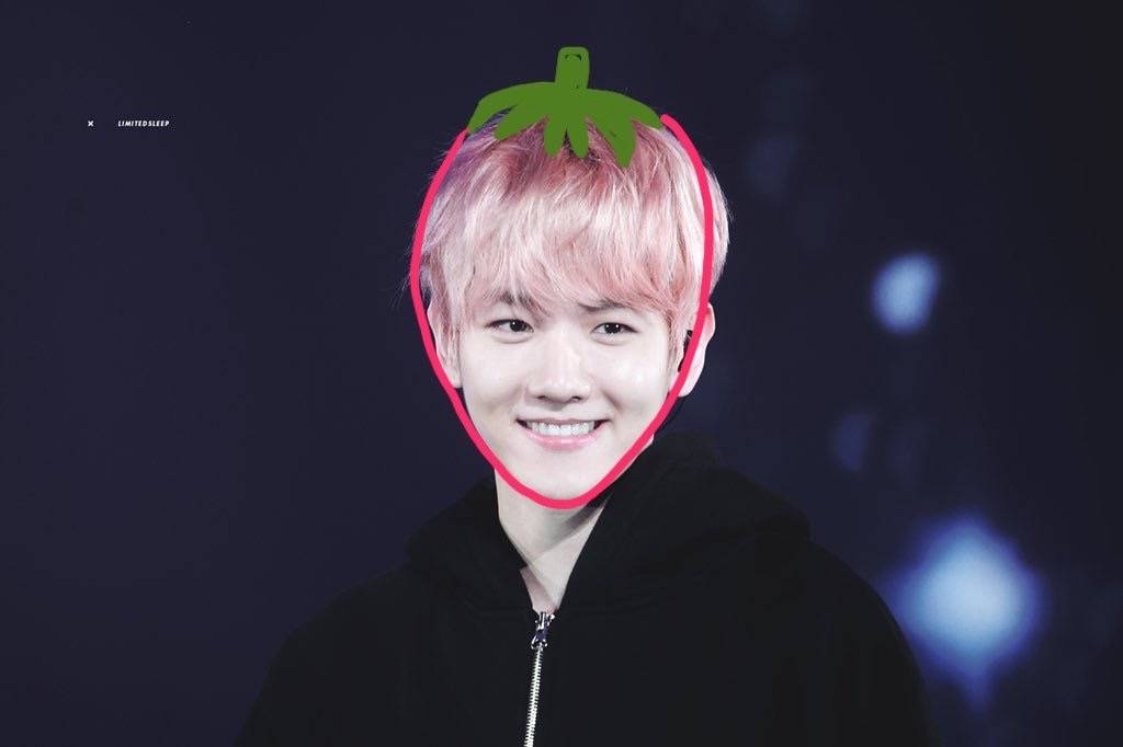 myloveexoyeah's tweet photo. exo is the best.
exo is the best!
#MTVBRKPOPEXO #PremiosMTVMiaw @weareoneEXO https://t.co/L5KsW15J44