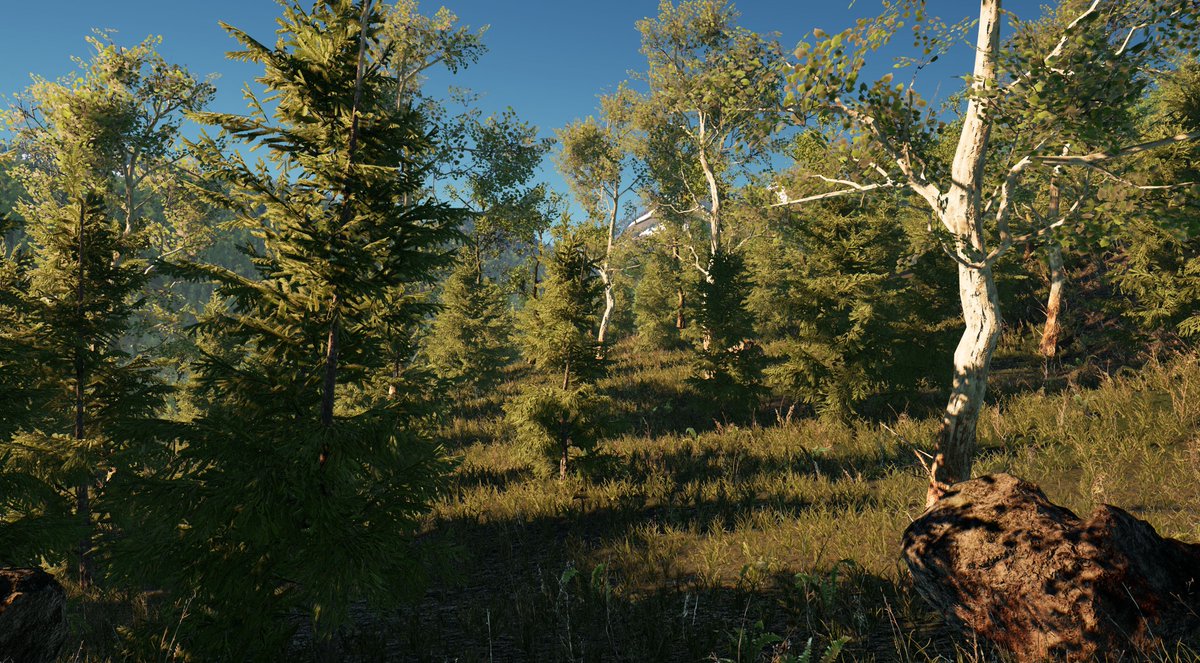 Eoin O Broin On Twitter In Game At A Good Distance It Holds Up Perfectly Just Looking To See If I Can Squeeze Out Any More Quality As The Fortnite Trees From The The Trees Are Messed Up In Fortnite The Trees Are Messed Up In Fortnite Eoin O Broin On Twitter In Game At A Good Distance It Holds Up Perfectly Just Looking To See If I Can Squeeze Out Any More Quality As The Fortnite Trees From The