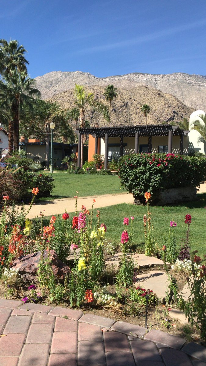 mollykbrooks's tweet photo. Having @KaceyMusgraves entire GOLDEN HOUR album stuck in my head was a perfect compliment to these views. Even saw a couple butterflies in flowers 🦋 https://t.co/xevRrsfnF9