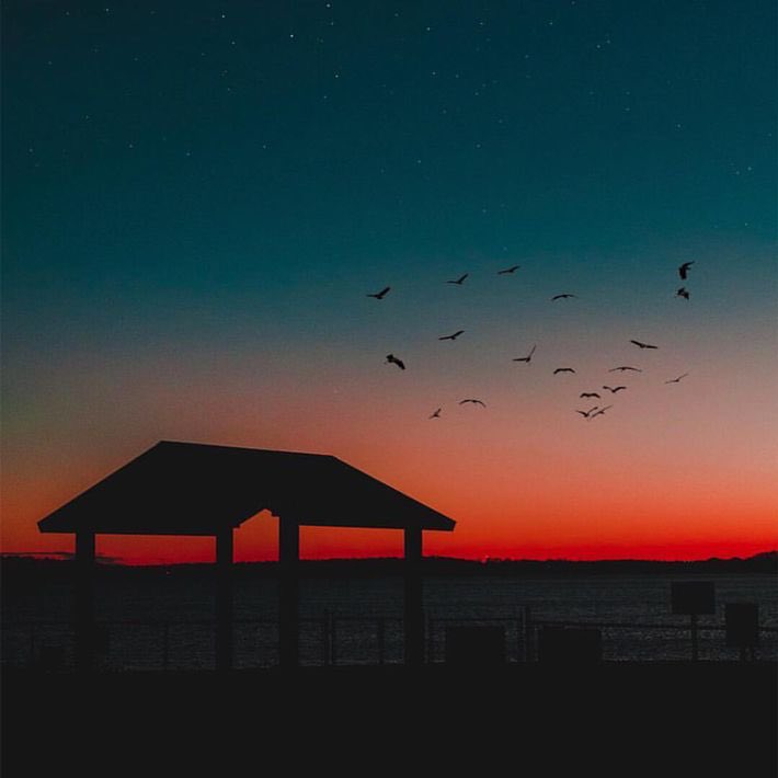 نبراس tweet media