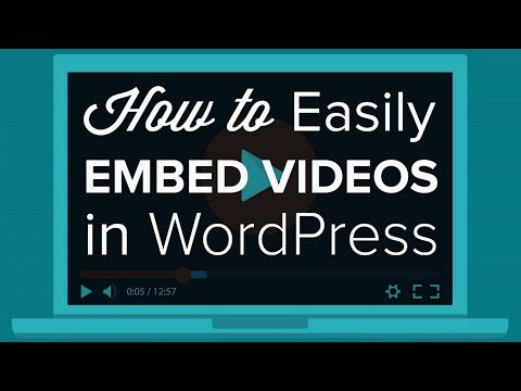wordpressbuzz1 tweet picture