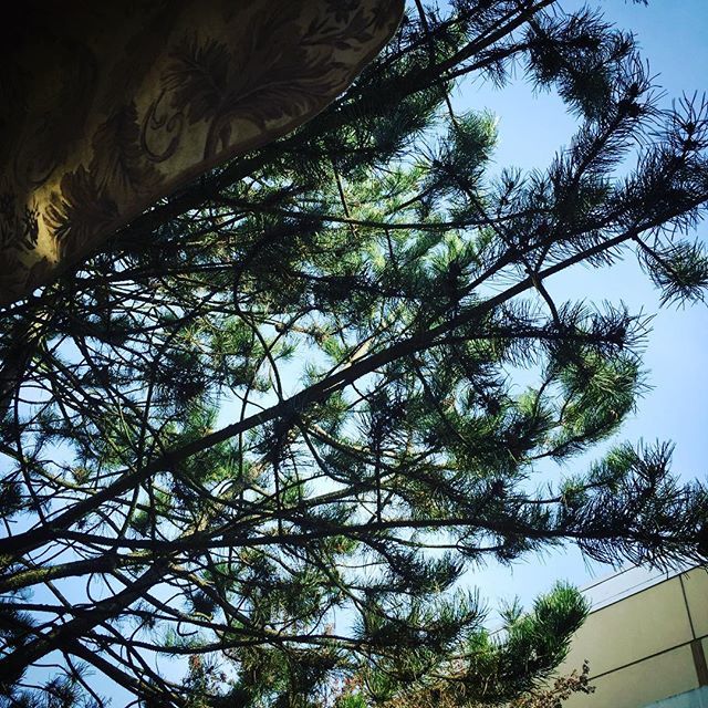unsigned_art's tweet photo. It’s such a beautiful day, wish I didn’t have to work DX https://t.co/uiETWK2vjQ