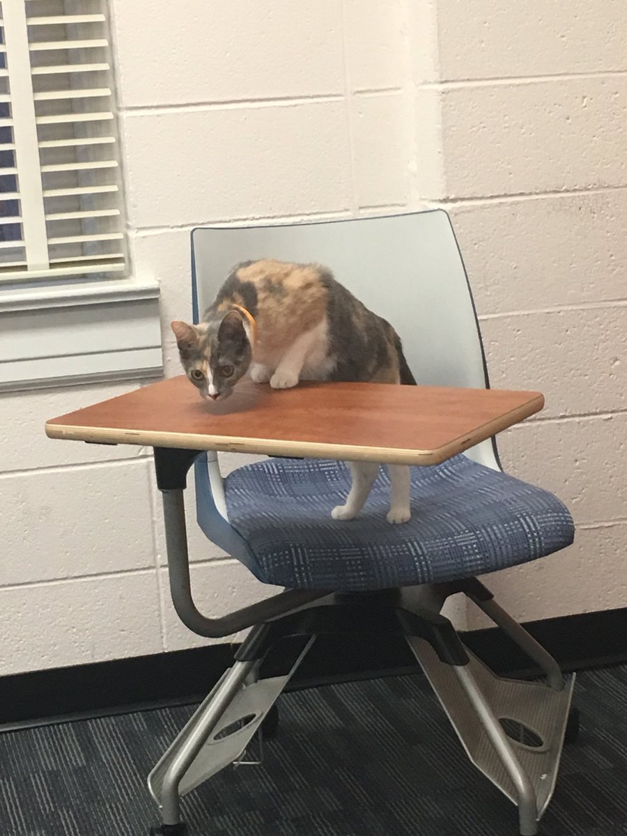 Mae is a loyal member of our staff and likes to attend our weekly meetings whenever she can
Thank you for the work you do