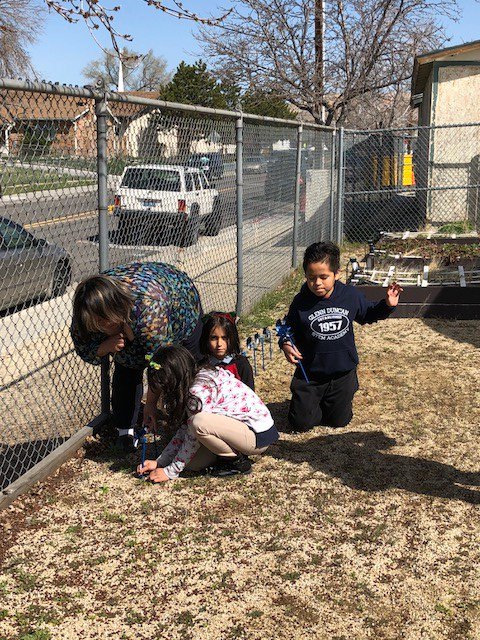 GDuncanSTEM's tweet photo. @washoecounty Thank you for helping Glenn Duncan students plant blue pinwheels today for National Child Abuse and Neglect Prevention Month. https://t.co/TQGs2rIBHH