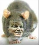 eternumen's tweet photo. "Empeoraría con AMLO"... el porvenir de muchos corruptos. 🐀🐀🐀🐀🐀🐀🐀🐀🐀🐀🐀🐀🐀🐀🐀🐀🐀🐀😮😂
#RazonesParaVotarPorAMLO Ni a #MeadeRobar ni a #cAnaya , sólo a #AMLO le interesa combatir la corrupción.
#EleccionesMexico #EleccionesMéxico2018🇲🇽 https://t.co/xGmtx5n9Zq
