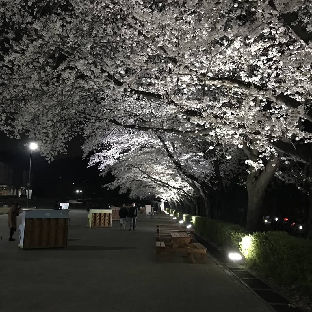 crystal :D (@bnbbbnnnbb) on Twitter photo 