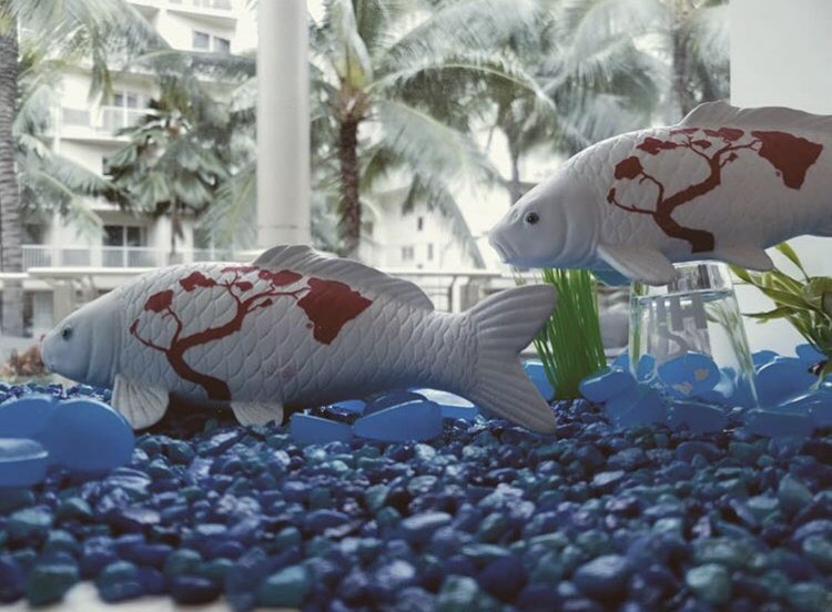 HiLifeStore's tweet image. Honu spotted in Kāneohe 🐢 Hope your week is going as gracefully as this guy!
Come through and show love for a local shop with real local artist!
Aloha! We are open everyday from 10am to 10pm! Come on down and show us your beautiful faces! 💙🤙