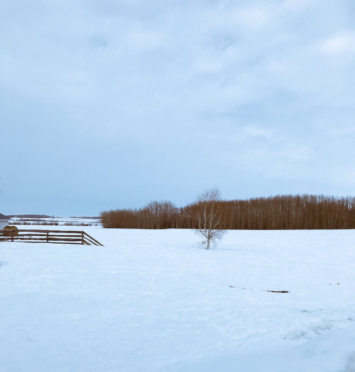 khilhorst5's tweet photo. Snow getting you down? Not too late to get a quote with @GlobalAgRisk #lookatallyouroptions #itsatool #riskmanagement #goodbusinesspractice #licensedinsuranceadvisor https://t.co/YEaXbOsvJd