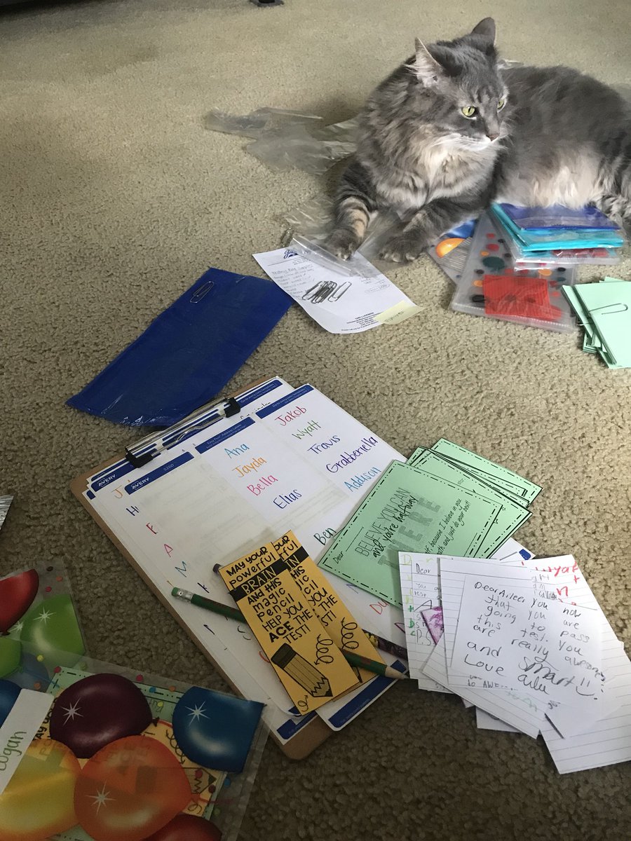 mrsbutler_sc's tweet image. State Testing starts tomorrow for 3rd graders @PDY_Schools. Henry (the cat) and I know they are going to rock it! #testmotivation #believeinyourself