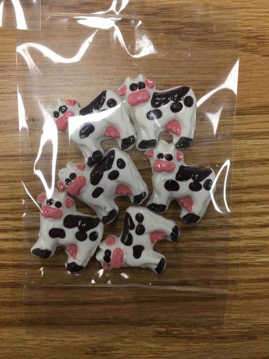 KalonaCreamery's tweet photo. Coming soon to the Kalona Creamery Shop &amp; Deli, we'll have these adorable chocolate cows for sale from @kalonachocolates. They're utterly delicious! https://t.co/iwhD6spMQc