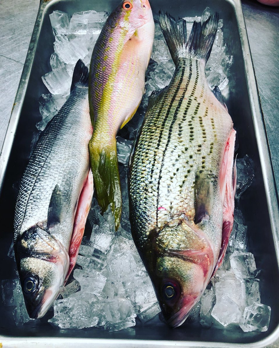 farmhouse21abq's tweet photo. Coastlines dining experience happening this weekend. Watch as waves dance across the table, and your food transforms into an experience. #experiencedining https://t.co/9ZOg8INFur