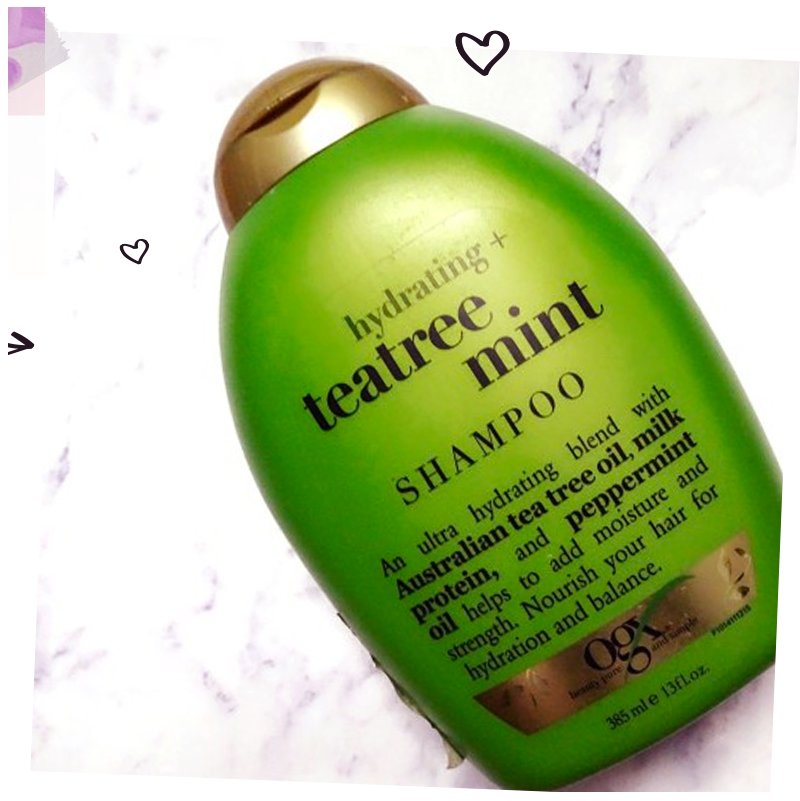 OGXbeauty_mx's tweet photo. Limpia y refresca tu cuero cabelludo con la fórmula Teatree Mint. #teatreemint #ogxshampoo #hairstyle #pure #detox https://t.co/2U0T1AfOin