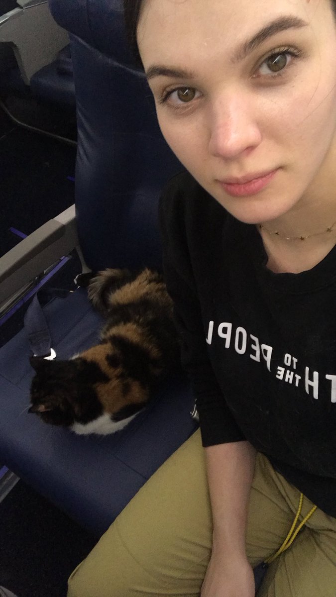 Omg guys I got to sit next to a cat celeb on the plane