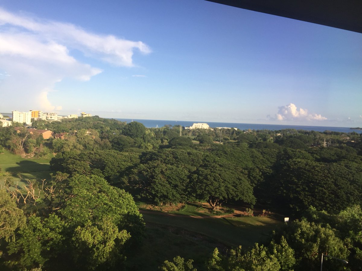 synthfunk2's tweet image. 