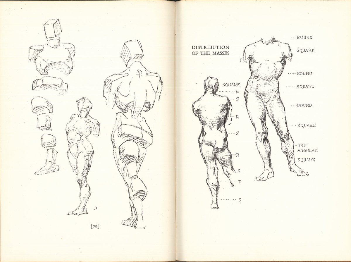 ブリッジマンは、人体の外形を箱などの単純な形に置き換えて図示した。こうした一旦単純形態に置き換えて捉える見方は、これ以降の美術解剖学書にしばしば登場するようになる。 