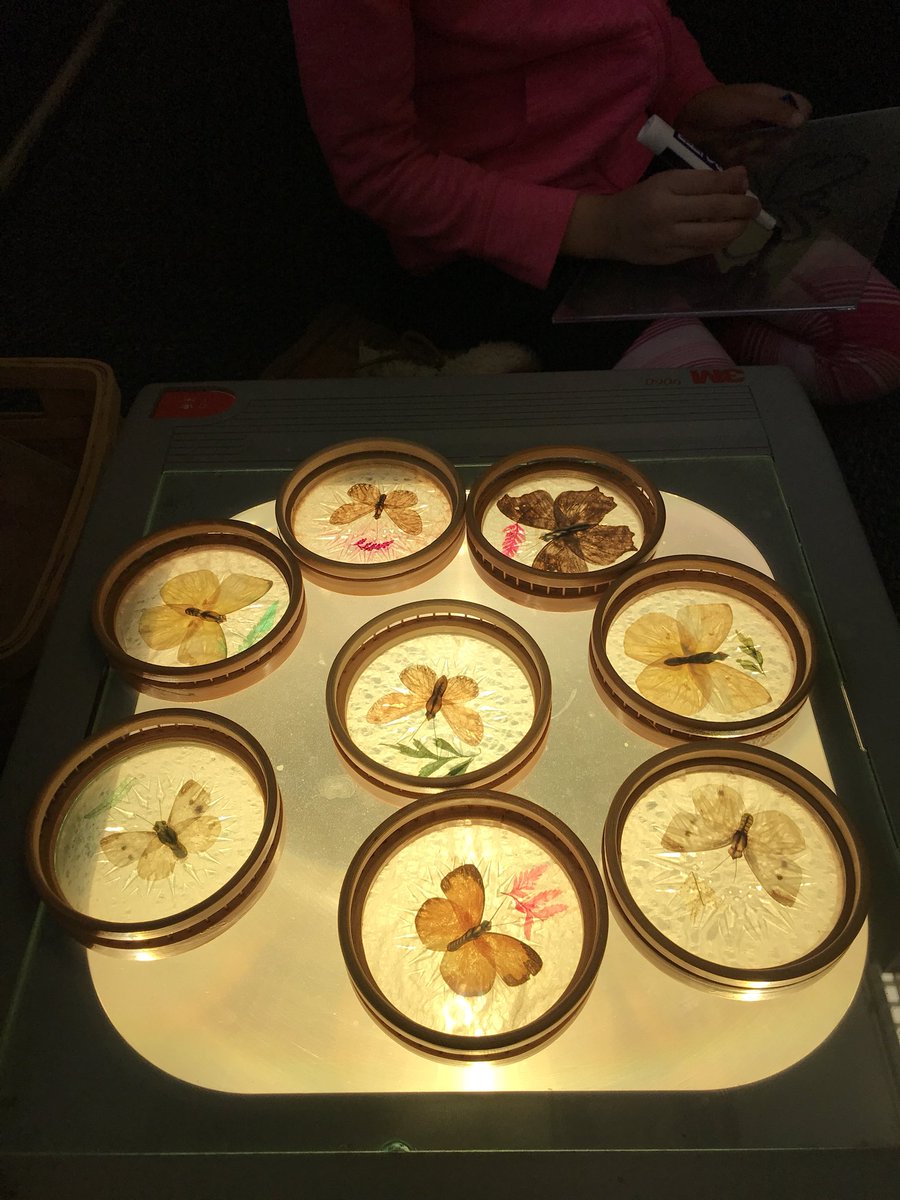 IHPlayStudio's tweet photo. Butterfly light play in our light and shadow corner ✨ #butterflyinvestigation #reggioinspired #playworkshop #languagesoflearning https://t.co/vojaoswj2W