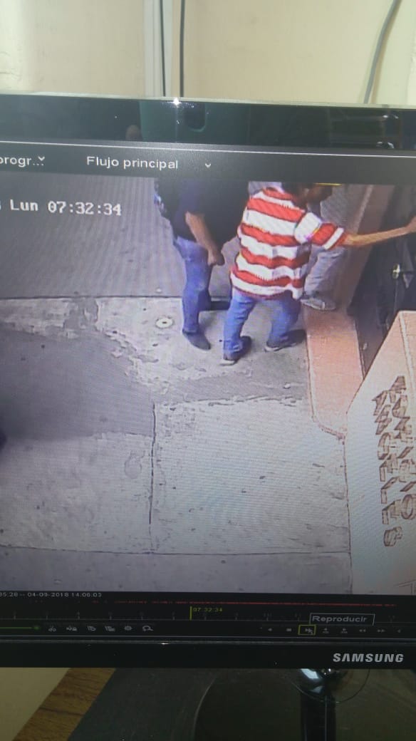 #animaLOVERS tweet media