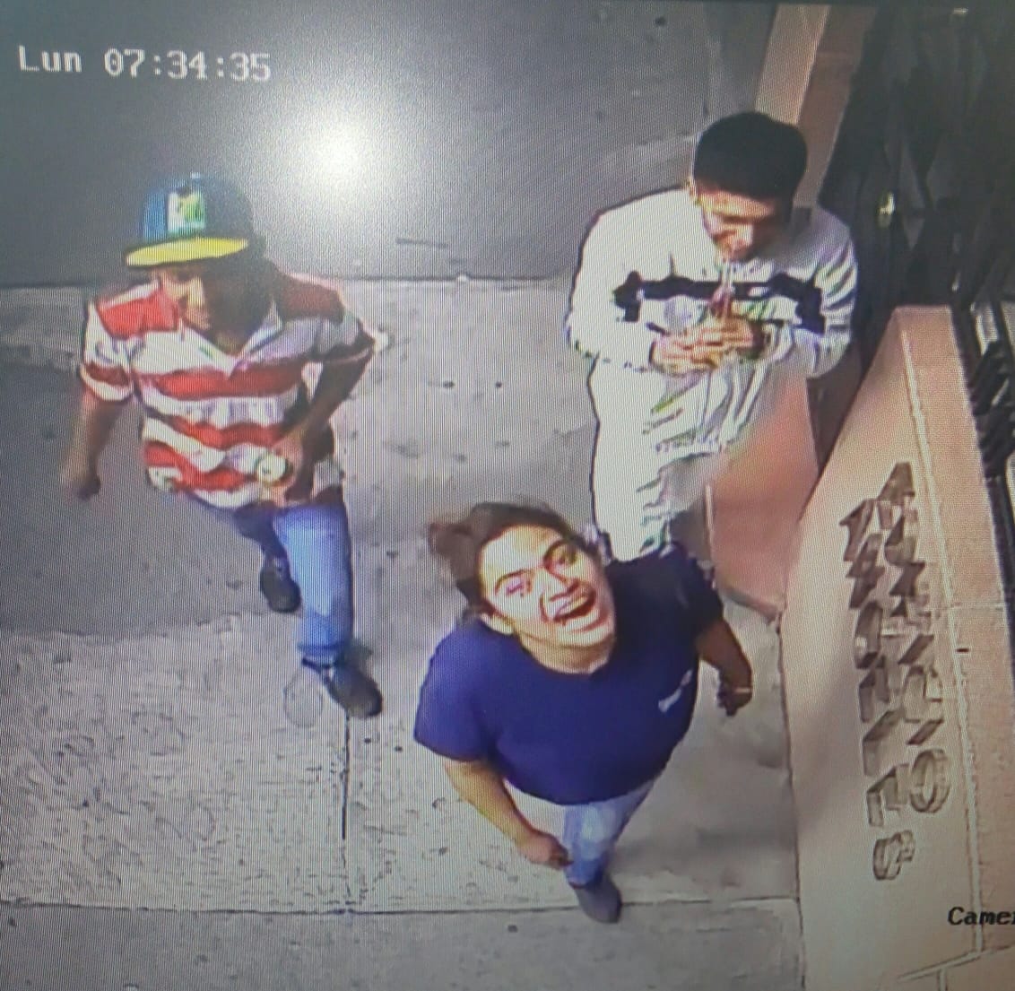 #animaLOVERS tweet media