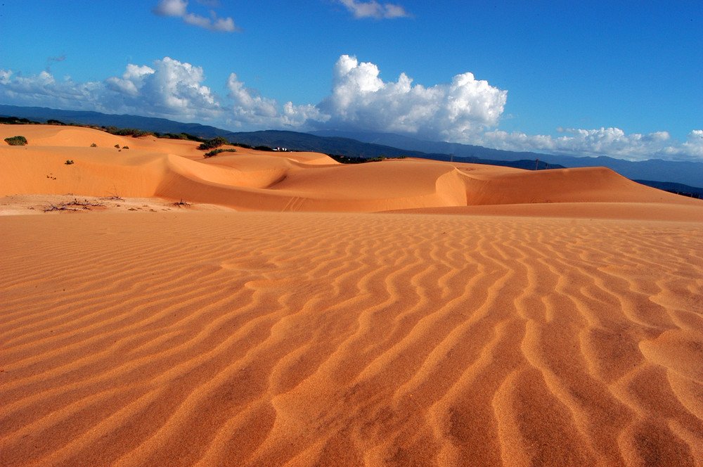 DokoToday's tweet photo. Los Médanos de Coro in Venezuela
#dokotoday #nature #nationalPark #holiday #travel #instatravel #travelphotography #travelling #instagood #amazing #love #旅 #旅行 #海外 #写真 #여행에미치다 #해외여행 #여행스타그램 #세계여행 #venezuela #베네수엘라 #ベネズエラ https://t.co/TAxJKXGpxe