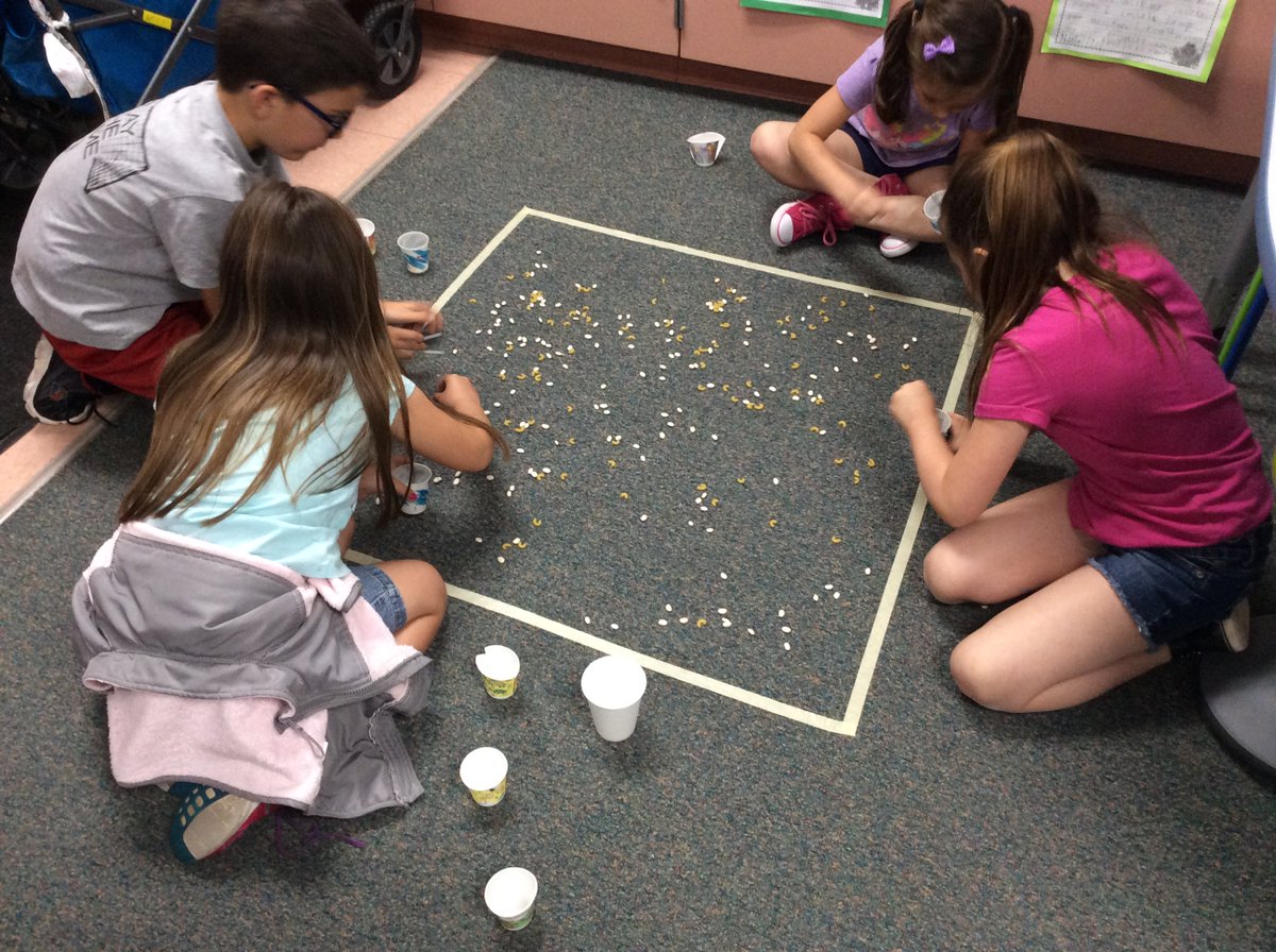 firstgradedi's tweet photo. So much fun finding the best beak with @MysterySci! @WoodRanchSVUSD #simischools https://t.co/MSgpyS7YpK