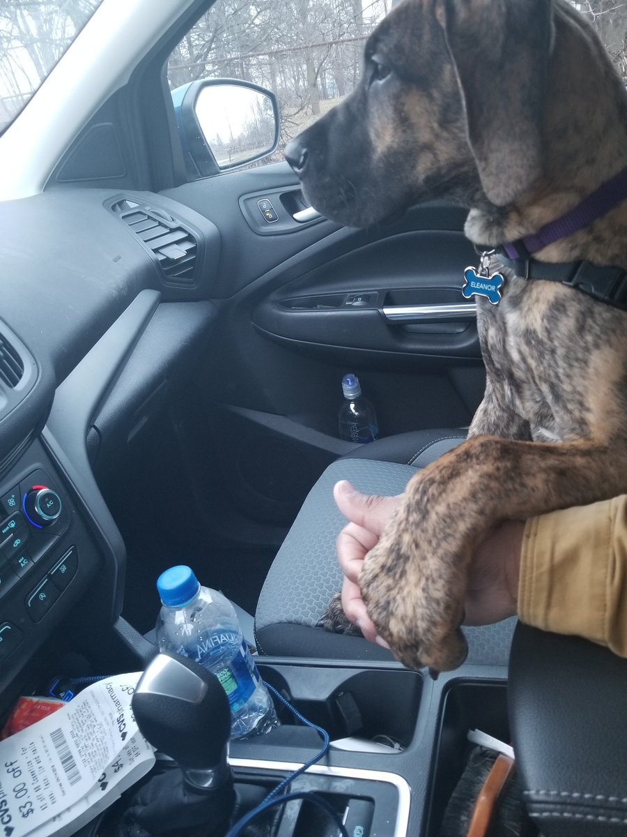 I_Know_Jason's tweet photo. I have to hold her hand when we drive https://t.co/Yd7SG0UegS