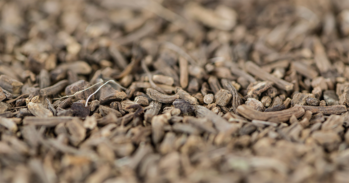 MyHempology's tweet photo. How much do you know about valerian root? Learn more with Hempology!
#learn #herbs #valerianroot https://t.co/OBdZlMp5Hy https://t.co/6kgpSkt8Ti